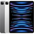 Apple iPad pro 12.9  512gb iPad