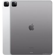 Apple iPad pro 12.9 256gb iPad